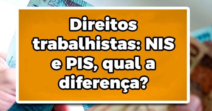 Direitos trabalhistas: NIS e PIS, qual a diferença?