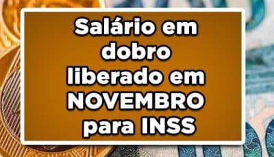 13º salário do inss será pago em novembro