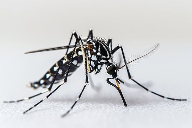 Atenção! O Brasil é afetado com um número extremamente preocupante a respeito da dengue. Veja todas as dicas para impedi-lá!