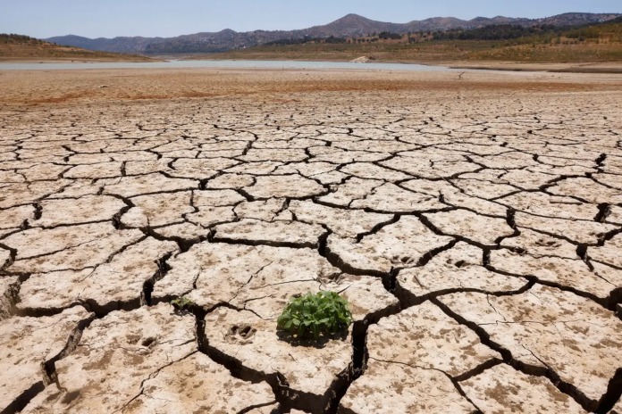 Alerta Climático: Temperaturas Recordes Exigem Ação Imediata